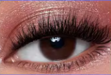 Lash Bloom — Cils Magnétiques Réutilisables