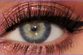 Lash Bloom — Cils Magnétiques Réutilisables