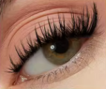 Lash Bloom — Cils Magnétiques Réutilisables