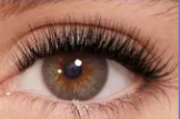 Lash Bloom — Cils Magnétiques Réutilisables