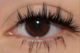 Lash Bloom — Cils Magnétiques Réutilisables